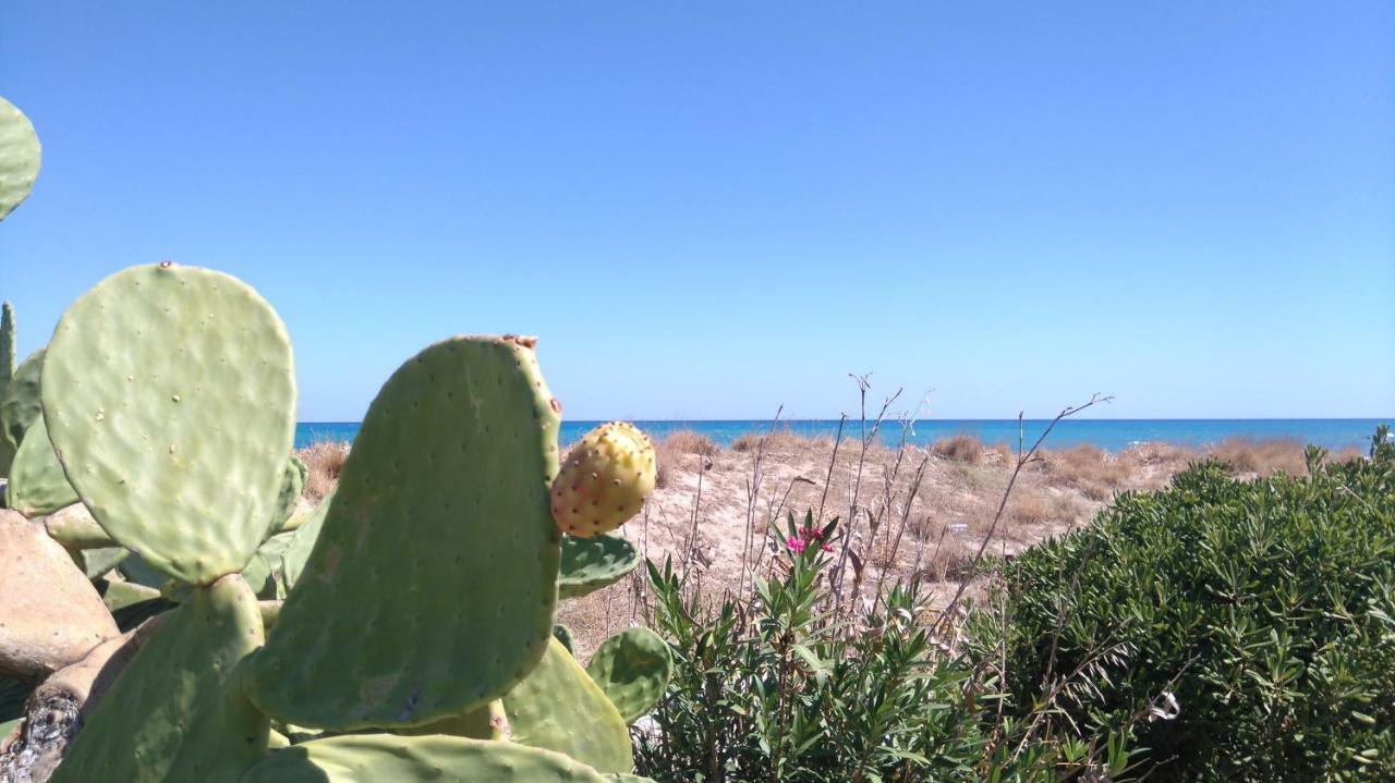 Kournás 360 Panorama House - Gazing At Horizon And The Stars Of The Galaxy In The Night - Fresh Cool Breeze Most Of The Time - Just 7 Min From The Beach מראה חיצוני תמונה
