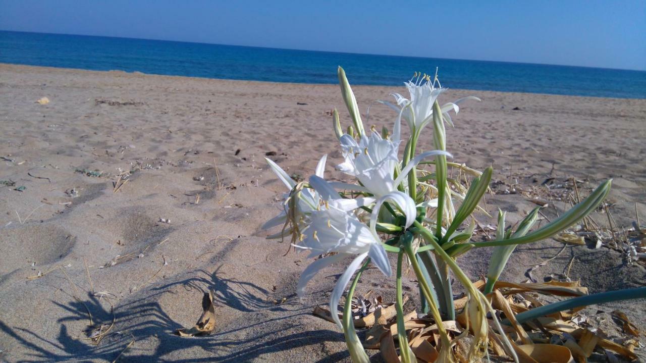 Kournás 360 Panorama House - Gazing At Horizon And The Stars Of The Galaxy In The Night - Fresh Cool Breeze Most Of The Time - Just 7 Min From The Beach מראה חיצוני תמונה